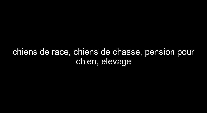 chiens de race, chiens de chasse, pension pour chien, elevage