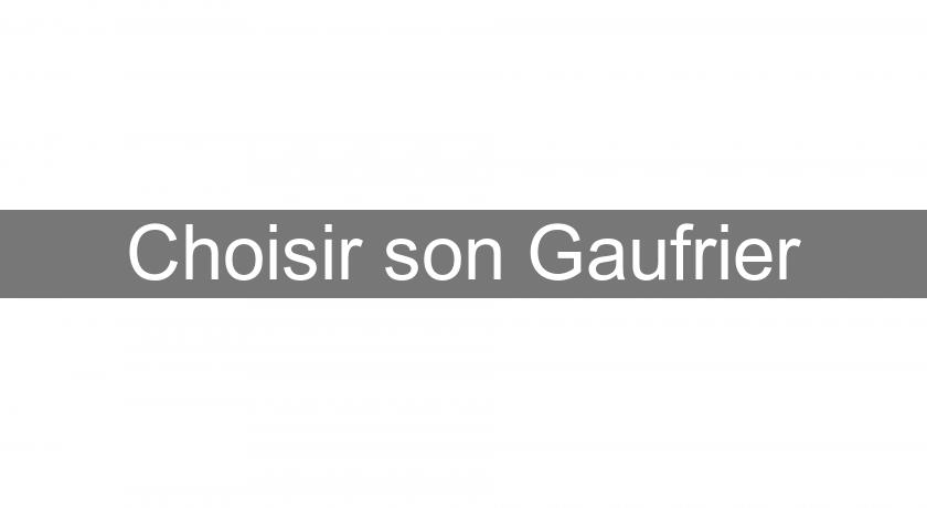 Choisir son Gaufrier Choisir son Gaufrier
