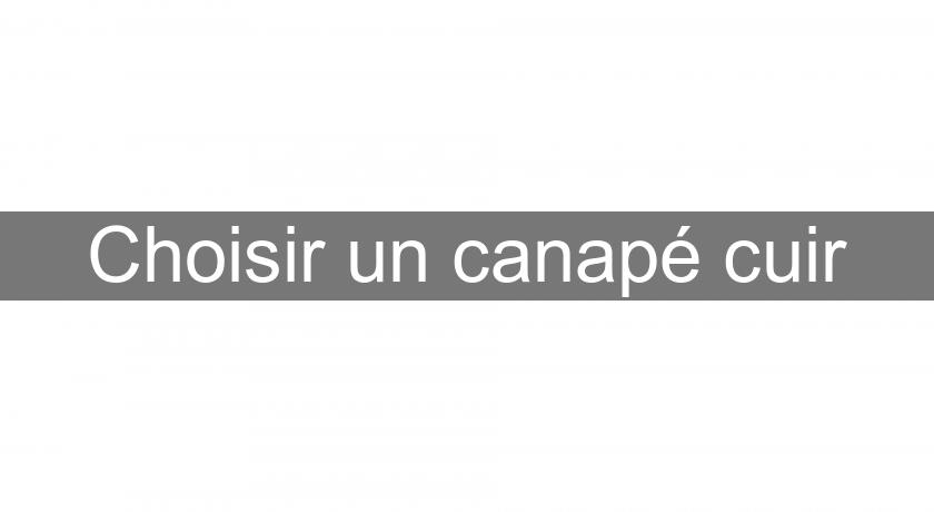 Choisir un canapé cuir Choisir un canapé cuir