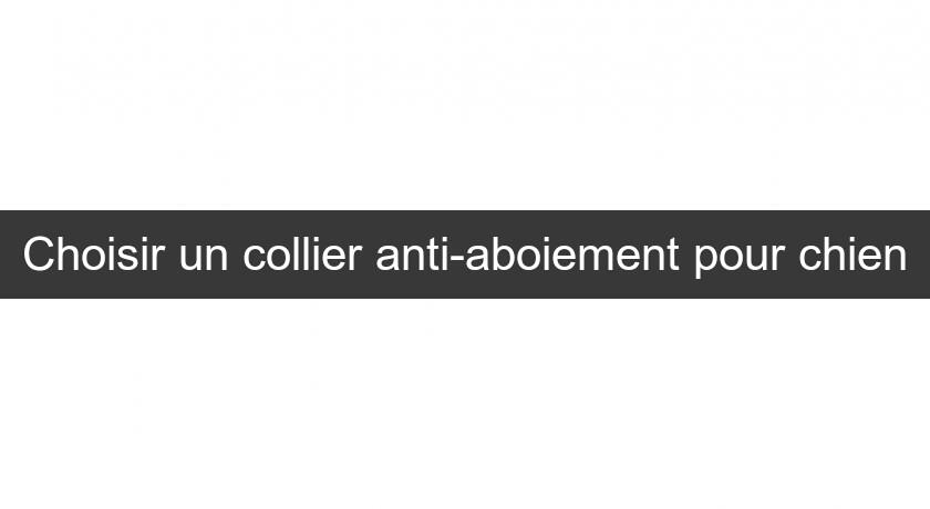 Choisir un collier anti-aboiement pour chien