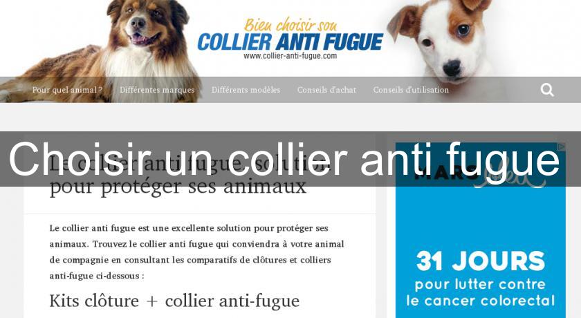 Choisir un collier anti fugue Choisir un collier anti fugue