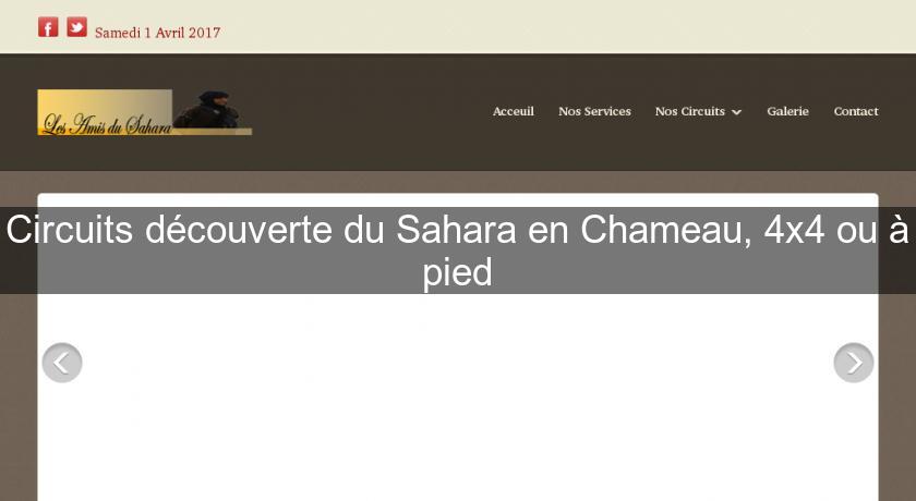 Circuits découverte du Sahara en Chameau, 4x4 ou à pied Circuits découverte du Sahara en Chameau, 4x4 ou à pied