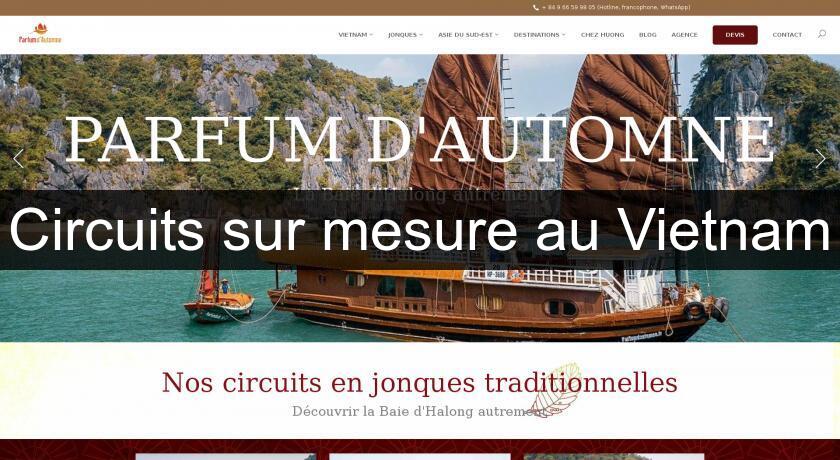 Circuits sur mesure au Vietnam Circuits sur mesure au Vietnam
