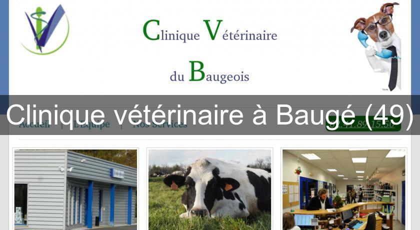 Clinique vétérinaire à Baugé (49) Clinique vétérinaire à Baugé (49)