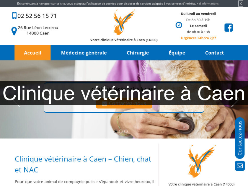 Clinique vétérinaire à Caen