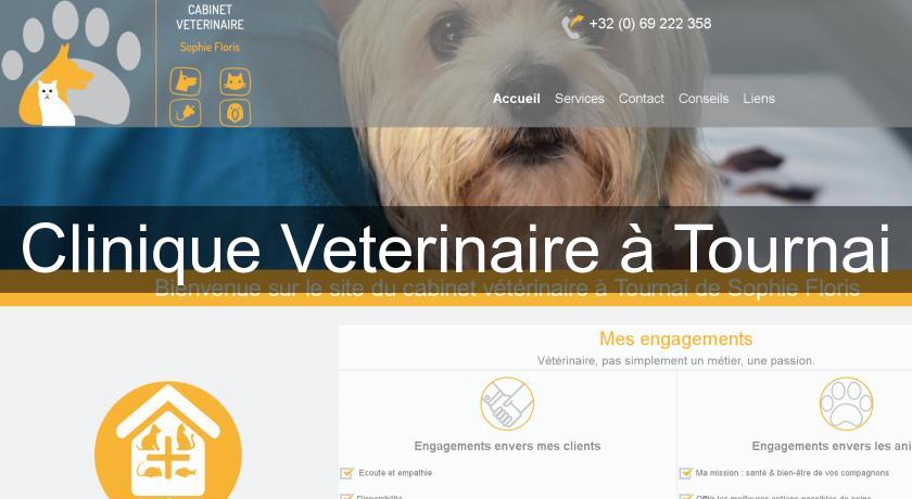 Clinique Veterinaire à Tournai