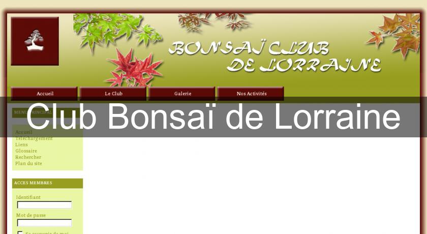Club Bonsaï de Lorraine