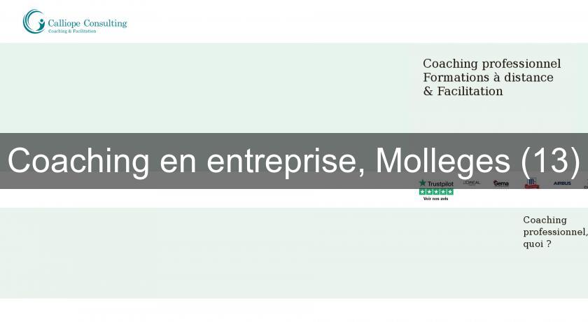 Coaching en entreprise, Molleges (13)