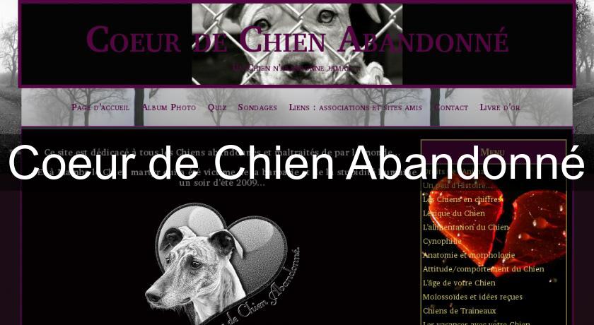 Coeur de Chien Abandonné