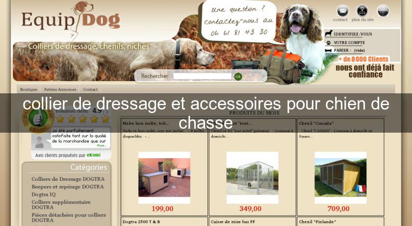 collier de dressage et accessoires pour chien de chasse