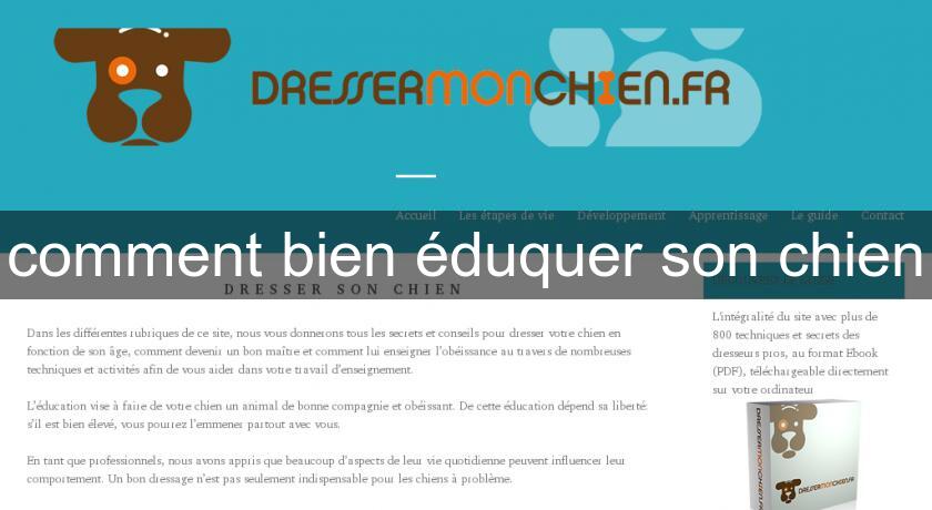 comment bien éduquer son chien comment bien éduquer son chien