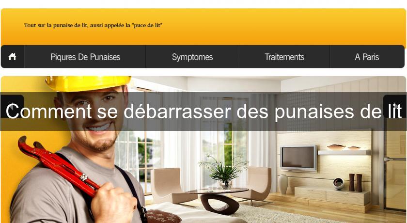 Comment se débarrasser des punaises de lit Comment se débarrasser des punaises de lit