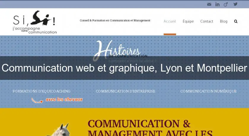 Communication web et graphique, Lyon et Montpellier