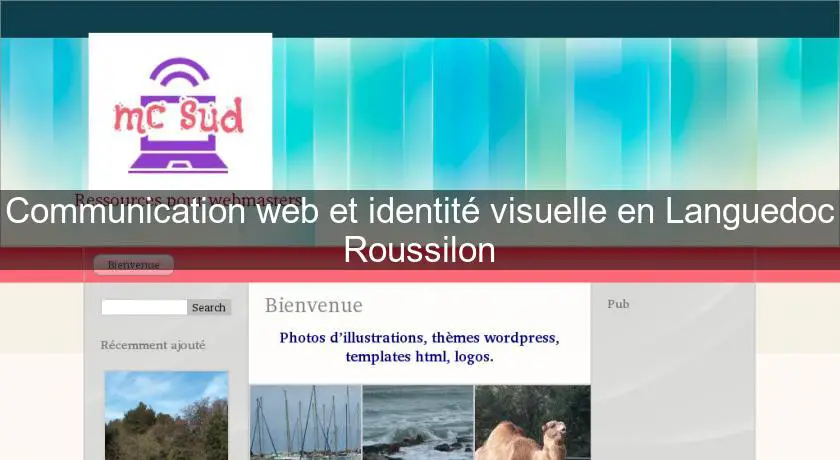 Communication web et identité visuelle en Languedoc Roussilon