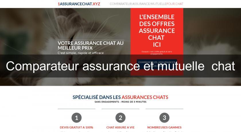 Comparateur assurance et mutuelle chat Comparateur assurance et mutuelle chat