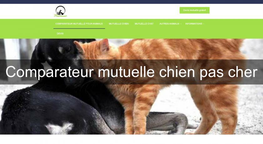 Comparateur mutuelle chien pas cher