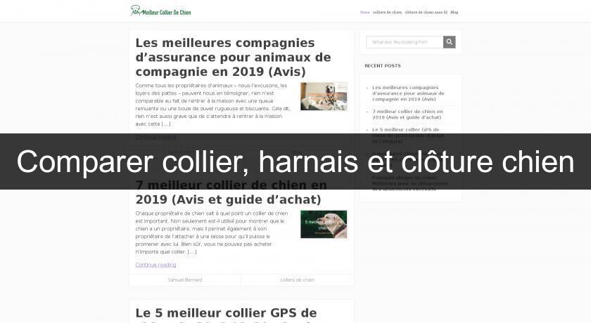 Comparer collier, harnais et clôture chien