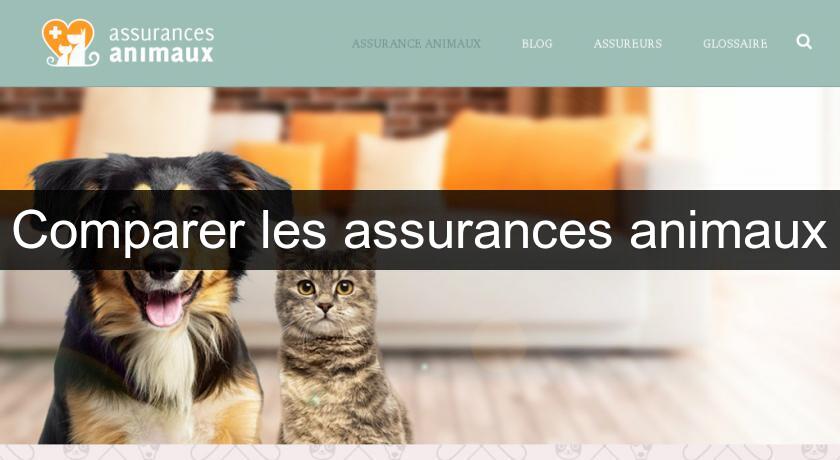 Comparer les assurances animaux