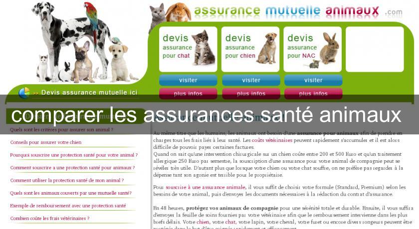 comparer les assurances santé animaux comparer les assurances santé animaux