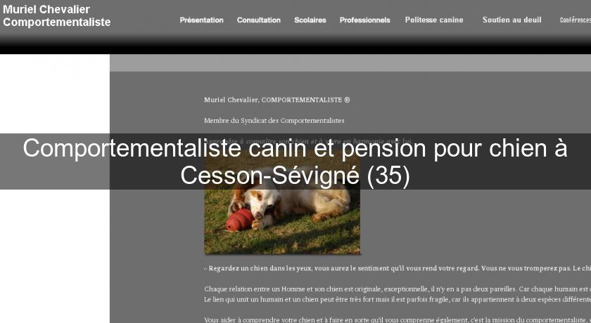 Comportementaliste canin et pension pour chien à Cesson-Sévigné (35)