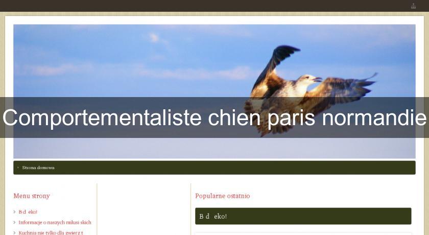 Comportementaliste chien paris normandie Comportementaliste chien paris normandie