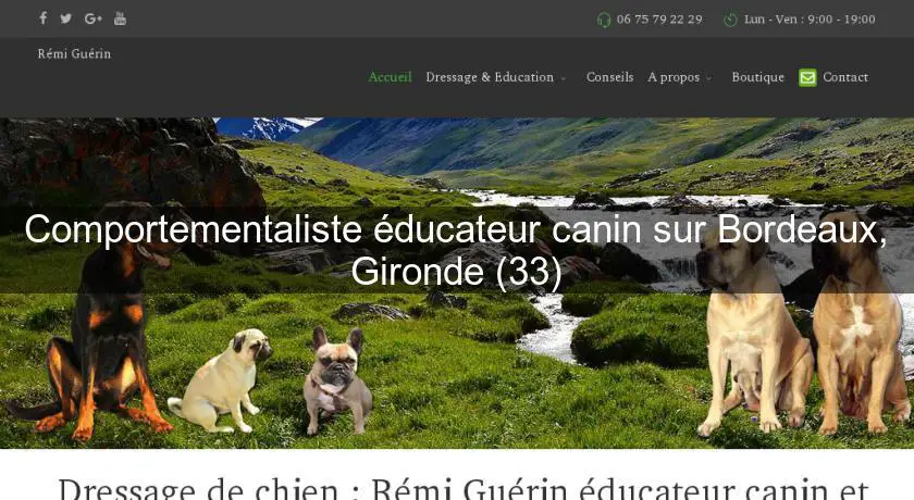 Comportementaliste éducateur canin sur Bordeaux, Gironde (33)