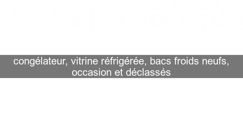 congélateur, vitrine réfrigérée, bacs froids neufs, occasion et déclassés congélateur, vitrine réfrigérée, bacs froids neufs, occasion et déclassés