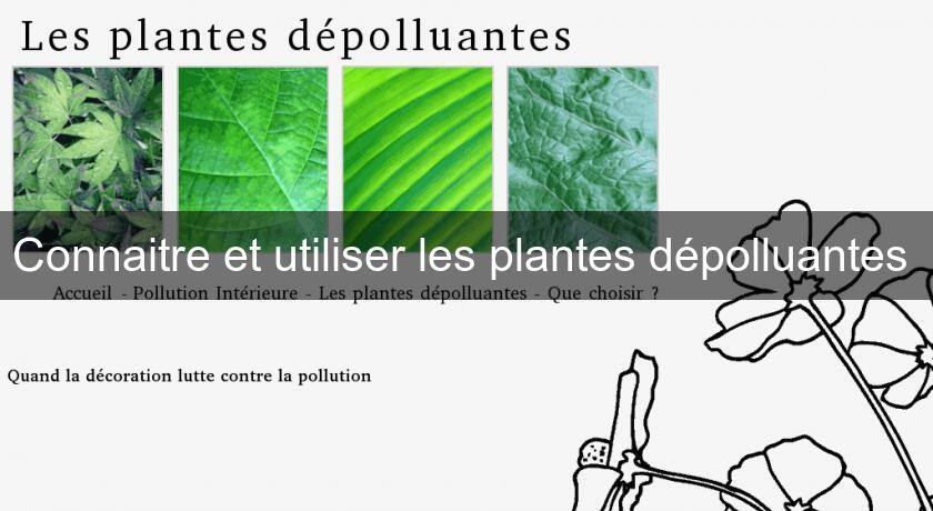 Connaitre et utiliser les plantes dépolluantes Connaitre et utiliser les plantes dépolluantes
