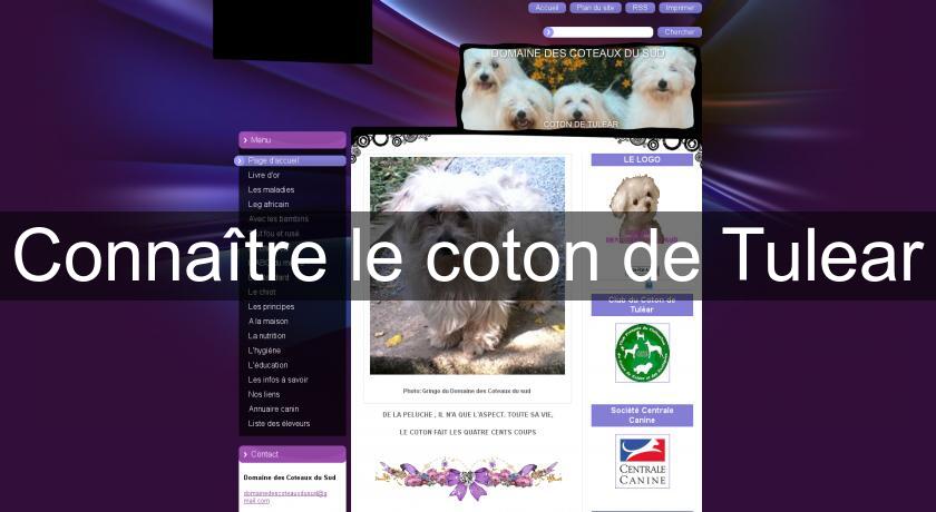 Connaître le coton de Tulear Connaître le coton de Tulear