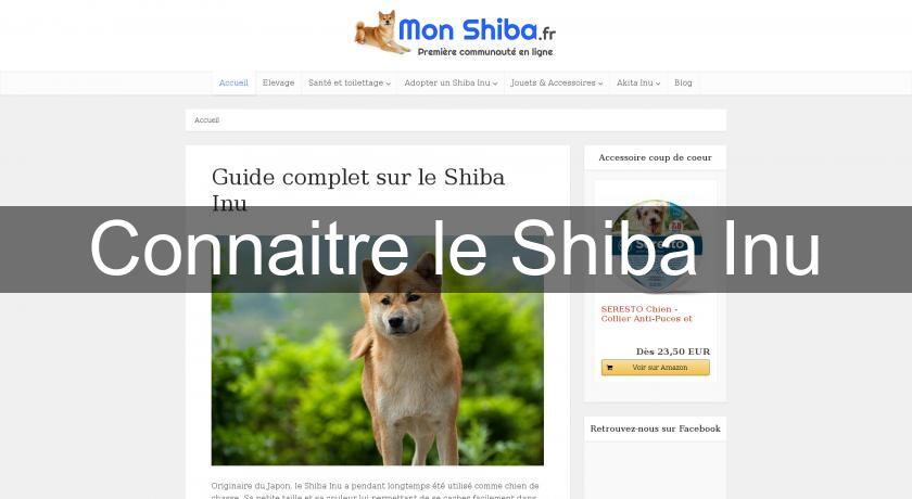 Connaitre le Shiba Inu Connaitre le Shiba Inu