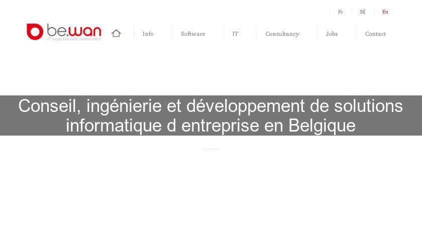 Conseil, ingénierie et développement de solutions informatique d'entreprise en Belgique