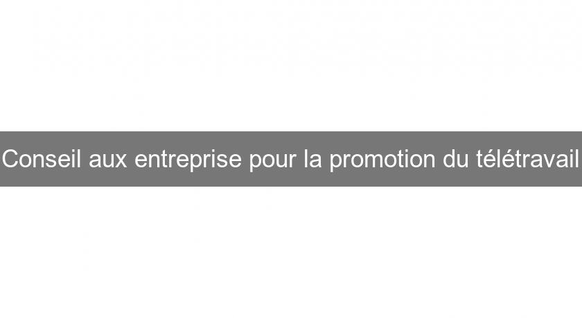 Conseil aux entreprise pour la promotion du télétravail Conseil aux entreprise pour la promotion du télétravail