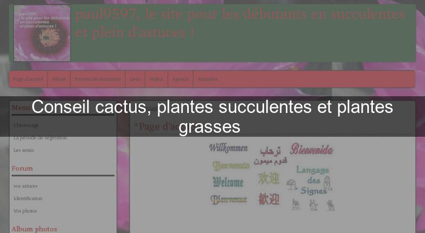 Conseil cactus, plantes succulentes et plantes grasses Conseil cactus, plantes succulentes et plantes grasses