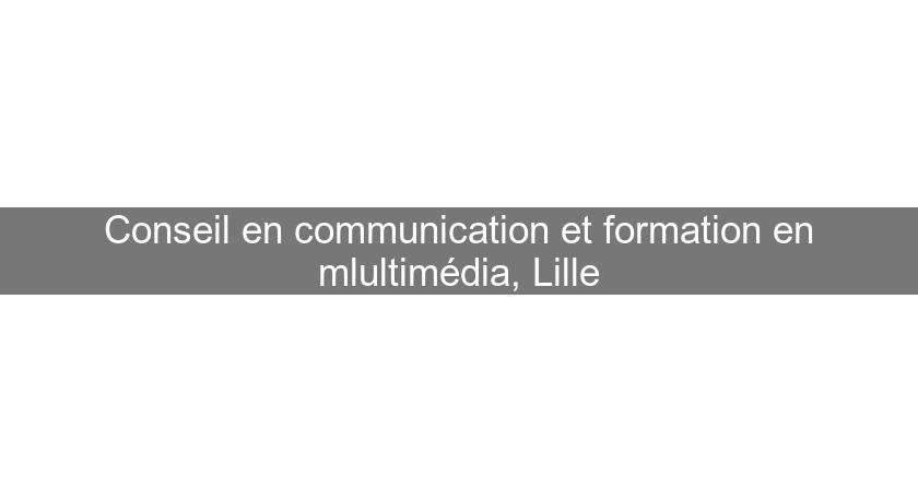 Conseil en communication et formation en mlultimédia, Lille