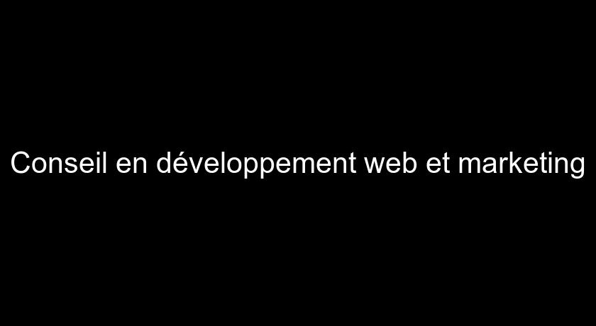 Conseil en développement web et marketing Conseil en développement web et marketing