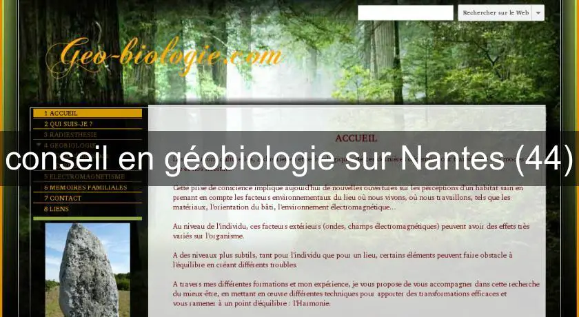conseil en géobiologie sur Nantes (44)