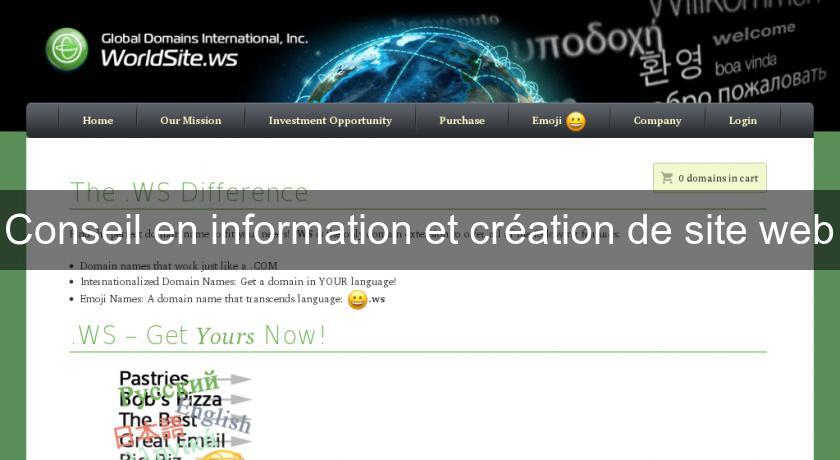 Conseil en information et création de site web Conseil en information et création de site web