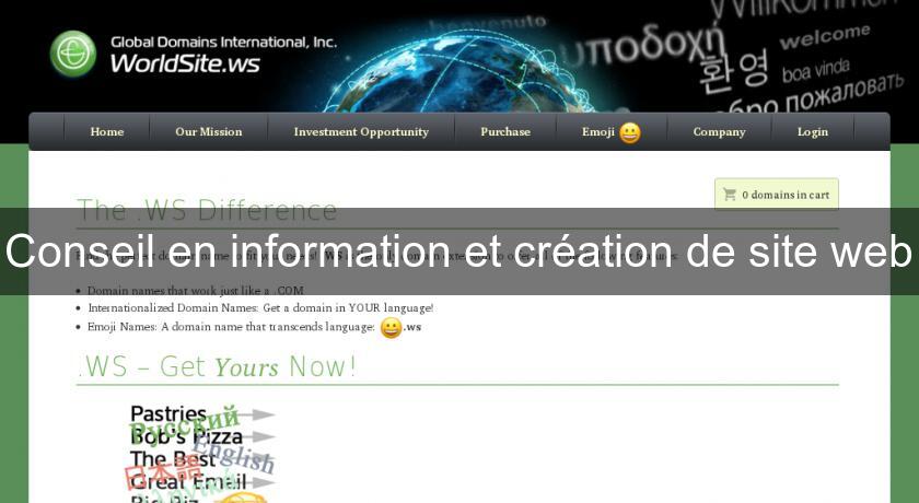 Conseil en information et création de site web