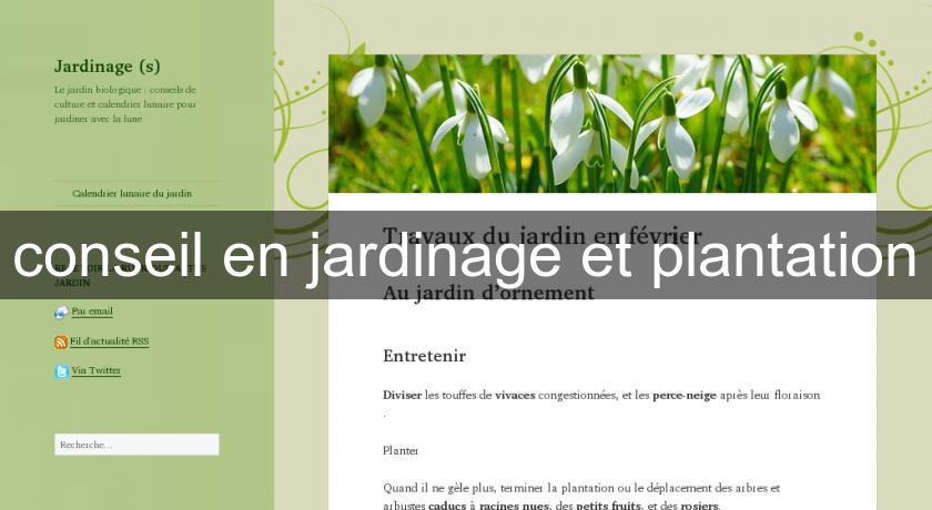 conseil en jardinage et plantation