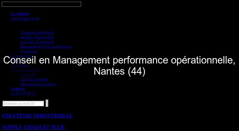 Conseil en Management performance opérationnelle, Nantes (44) Conseil en Management performance opérationnelle, Nantes (44)