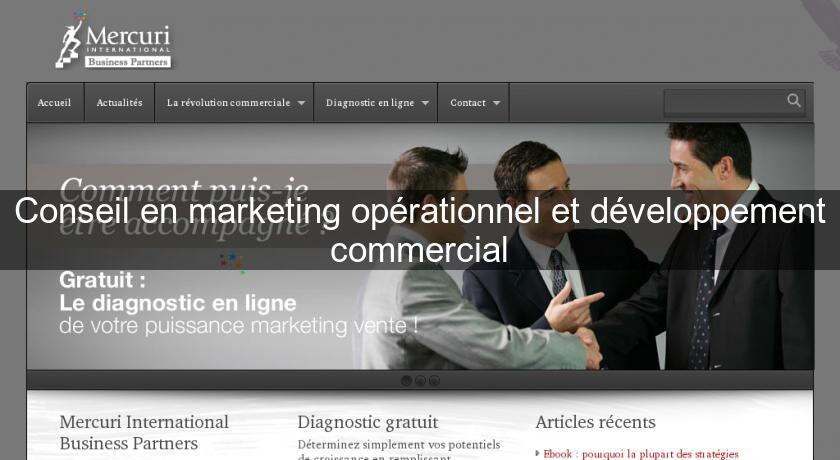 Conseil en marketing opérationnel et développement commercial Conseil en marketing opérationnel et développement commercial