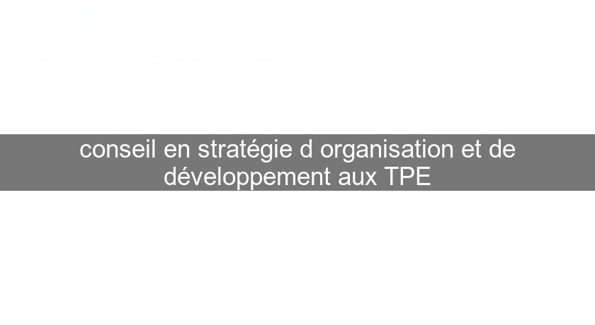 conseil en stratégie d'organisation et de développement aux TPE