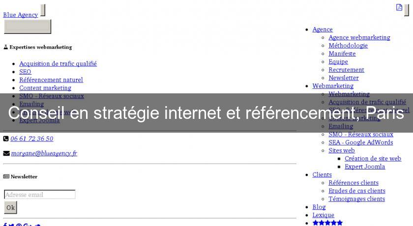 Conseil en stratégie internet et référencement, Paris