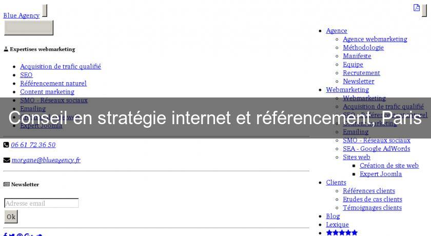 Conseil en stratégie internet et référencement, Paris Conseil en stratégie internet et référencement, Paris
