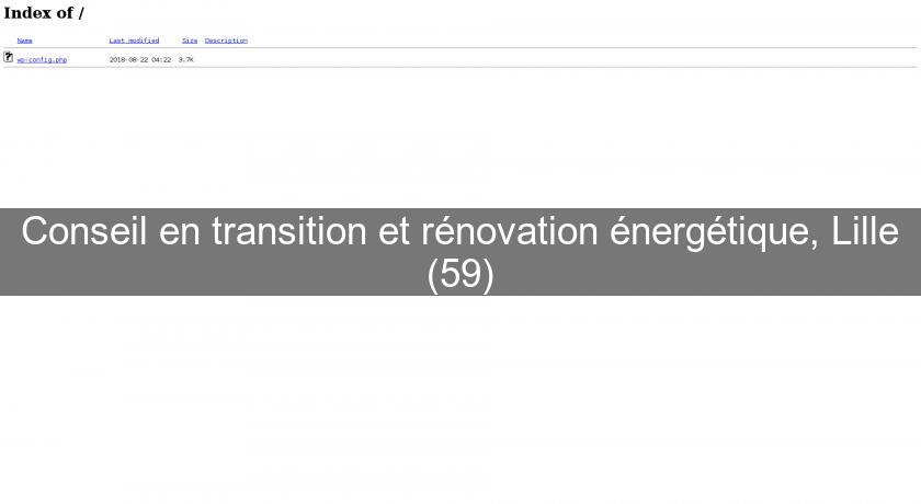 Conseil en transition et rénovation énergétique, Lille (59) Conseil en transition et rénovation énergétique, Lille (59)