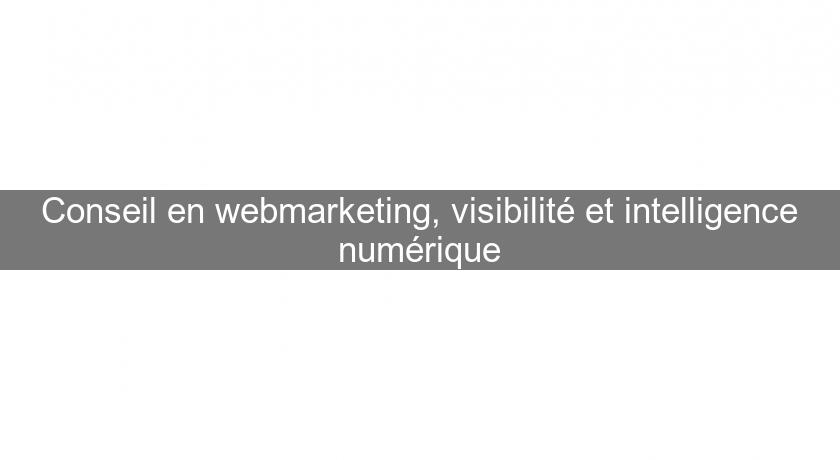 Conseil en webmarketing, visibilité et intelligence numérique Conseil en webmarketing, visibilité et intelligence numérique
