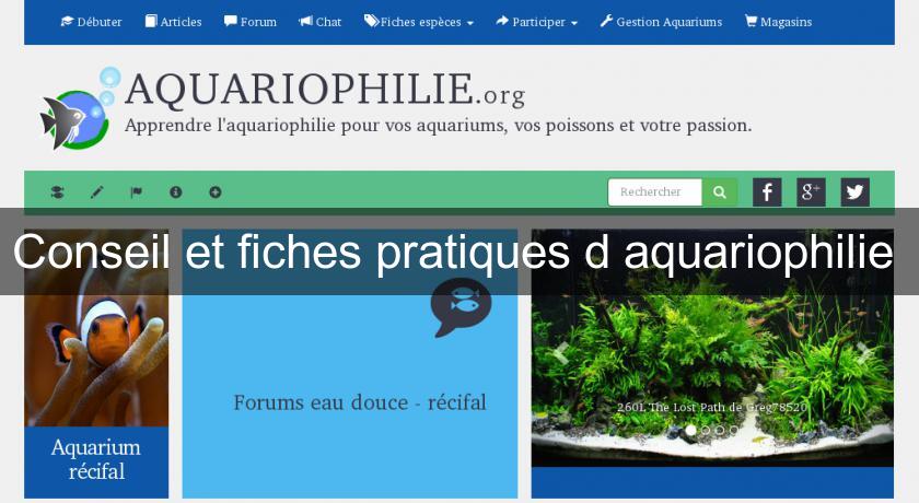 Conseil et fiches pratiques d'aquariophilie Conseil et fiches pratiques d'aquariophilie