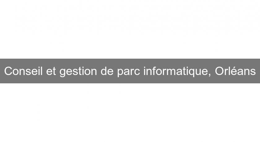 Conseil et gestion de parc informatique, Orléans