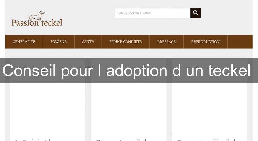 Conseil pour l'adoption d'un teckel Conseil pour l'adoption d'un teckel