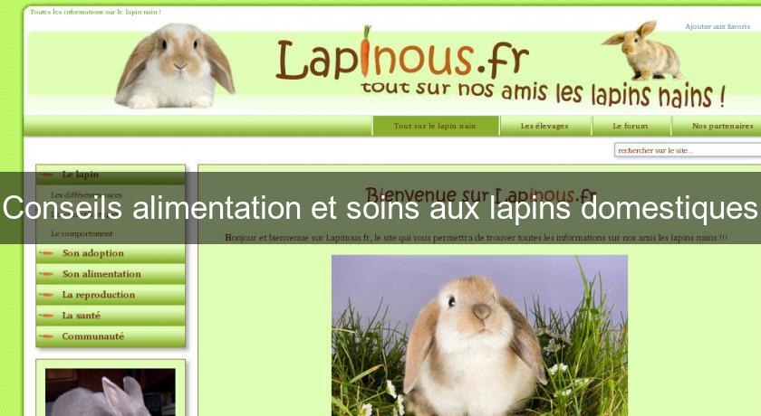 Conseils alimentation et soins aux lapins domestiques Conseils alimentation et soins aux lapins domestiques